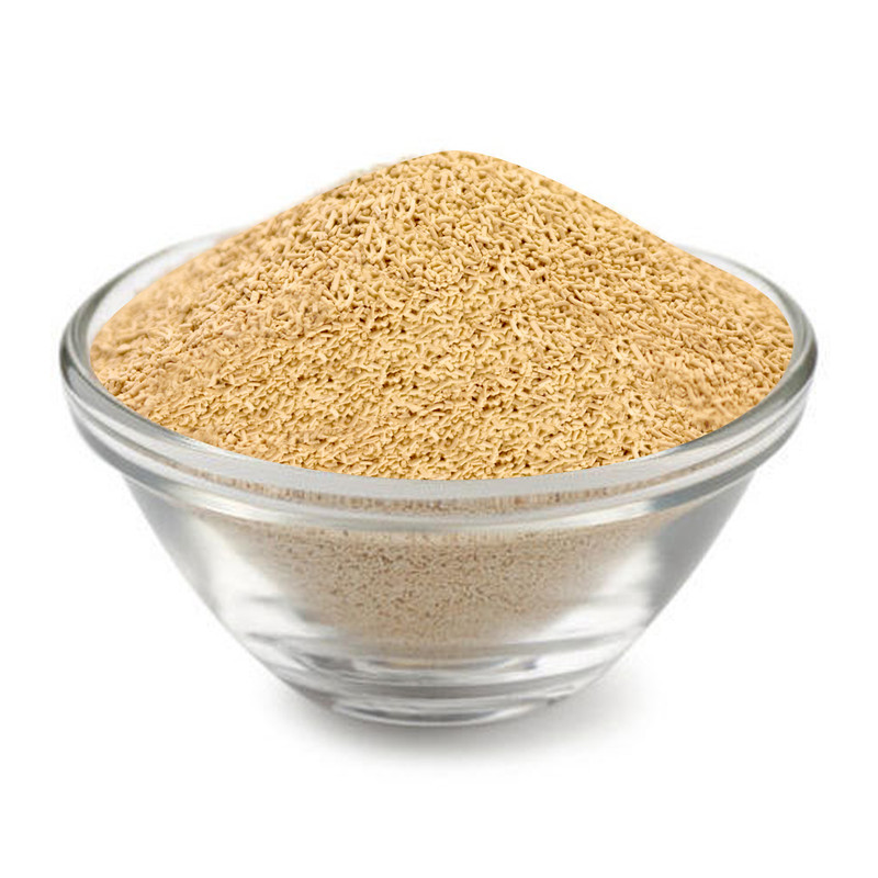 خرید و قیمت خمیر مایه خشک فوری  + فروش عمده