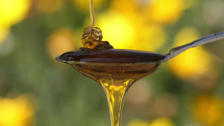 خرید عسل ارگانیک خوانسار + قیمت فروش استثنایی