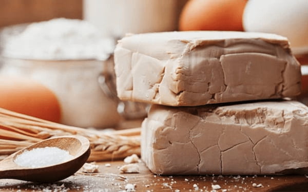 خرید و قیمت خمیر مایه تر + قیمت عمده