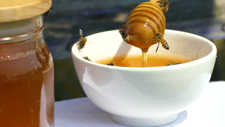 خرید عسل طبیعی کوهستان + قیمت فروش استثنایی