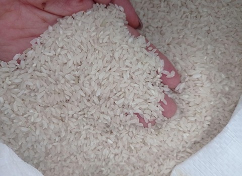 تصویر 4 از فروش برنج عنبر بو عطری خوش پخت