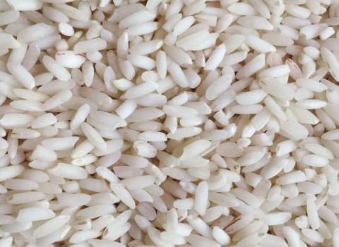 فروش ویژه برنج عنبر بو خوزستان انتخاب خوش سلیقه‌ ها