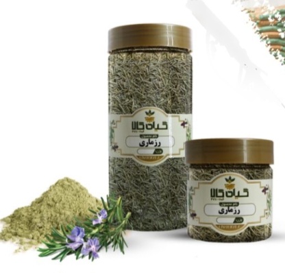 گیاه رزماری خشک فله قیمت عمده + فروش صادراتی