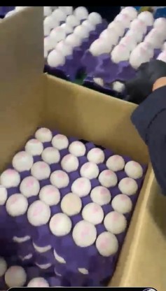 تصویر 5 از خرید عمده تخم مرغ صادراتی + مجوز صادراتی