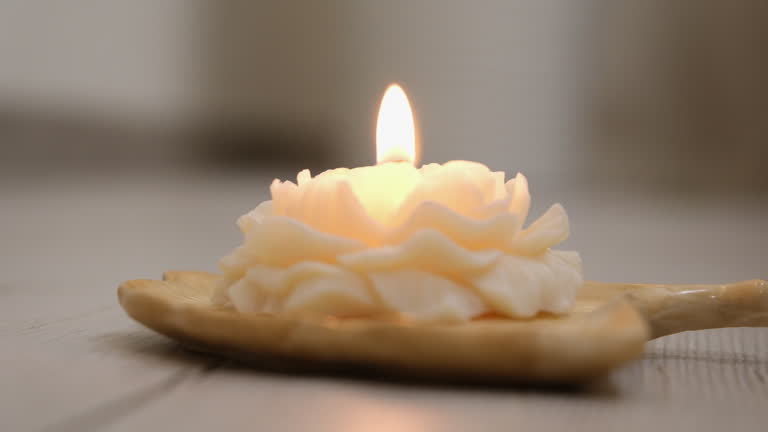 تصویر 5 از قیمت خرید شمع تزیینی دکوری با فروش عمده