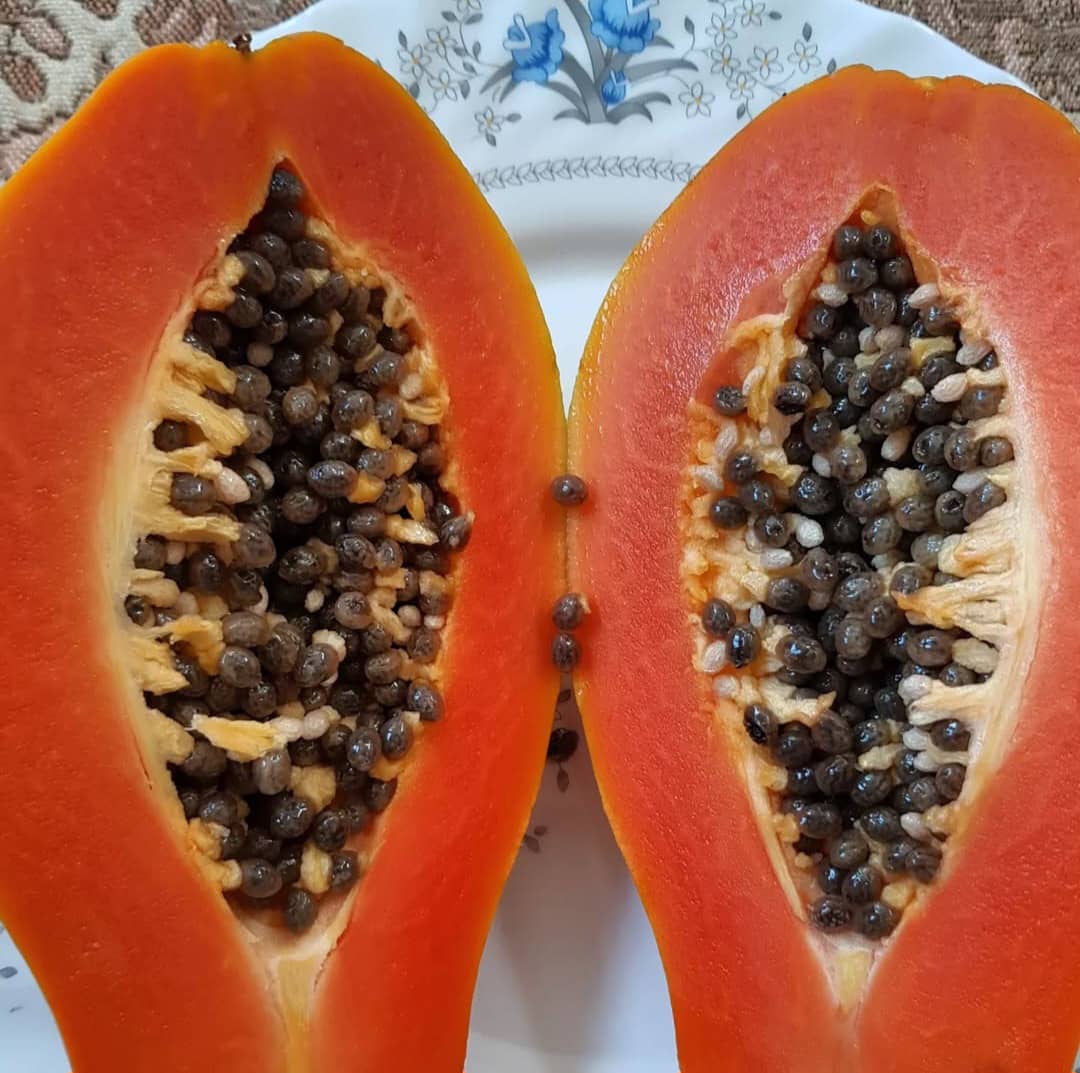 قیمت پاپایا عمده تازه + قیمت ویژه