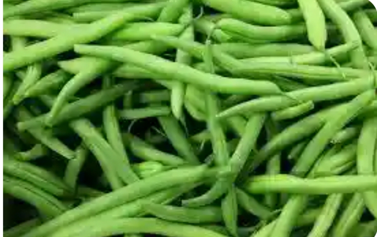 خرید عمده و قیمت کنسرو لوبیا سبز با کیفیت + فروش ویژه