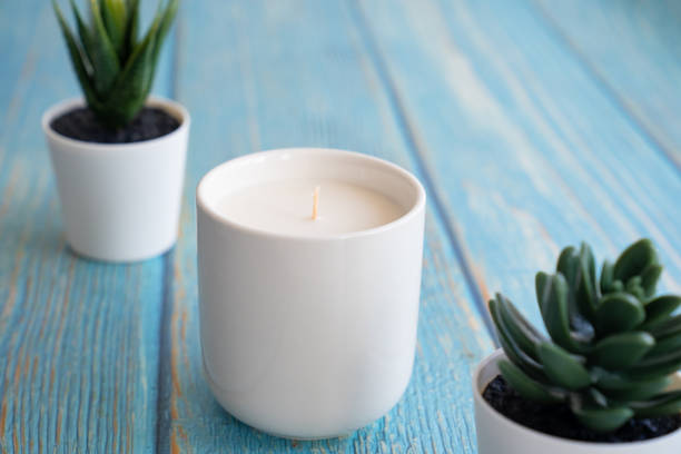 تصویر 4 از قیمت شمع وارمری ساده با کیفیت ارزان + خرید عمده