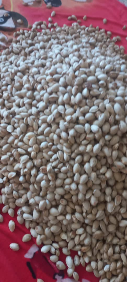 فروش فوق العاده بادام پوست کاغذی با کیفیت اعلا