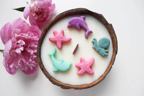 تصویر 2 از قیمت خرید شمع تزیینی با صدف عمده به صرفه و ارزان