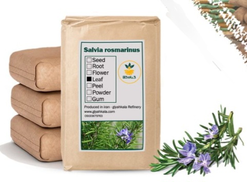 فروش صادراتی رزماری خشک فله