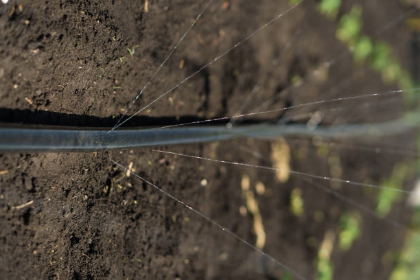 تصویر 3 از قیمت نوار تیپ آبیاری قطره ای گلخانه + خرید باور نکردنی