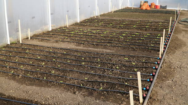 تصویر 1 از قیمت نوار تیپ آبیاری قطره ای گلخانه + خرید باور نکردنی