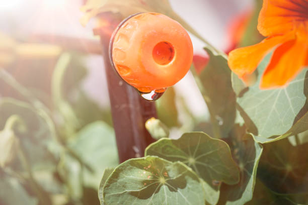 خرید قطره چکان تنظیم‌ دار و ثابت + قیمت فروش استثنایی