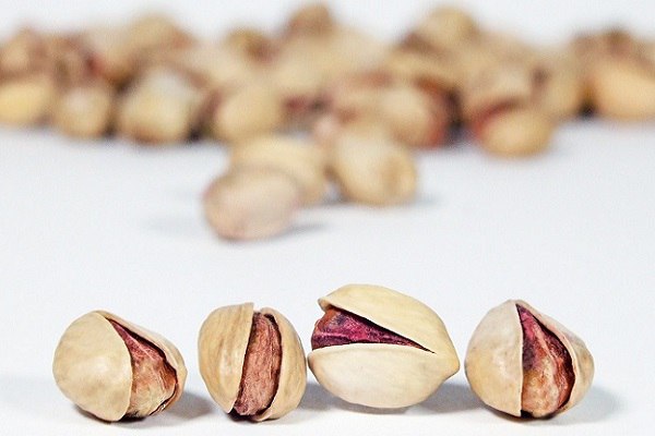 قیمت خرید پسته فندقی خام عمده به صرفه و ارزان