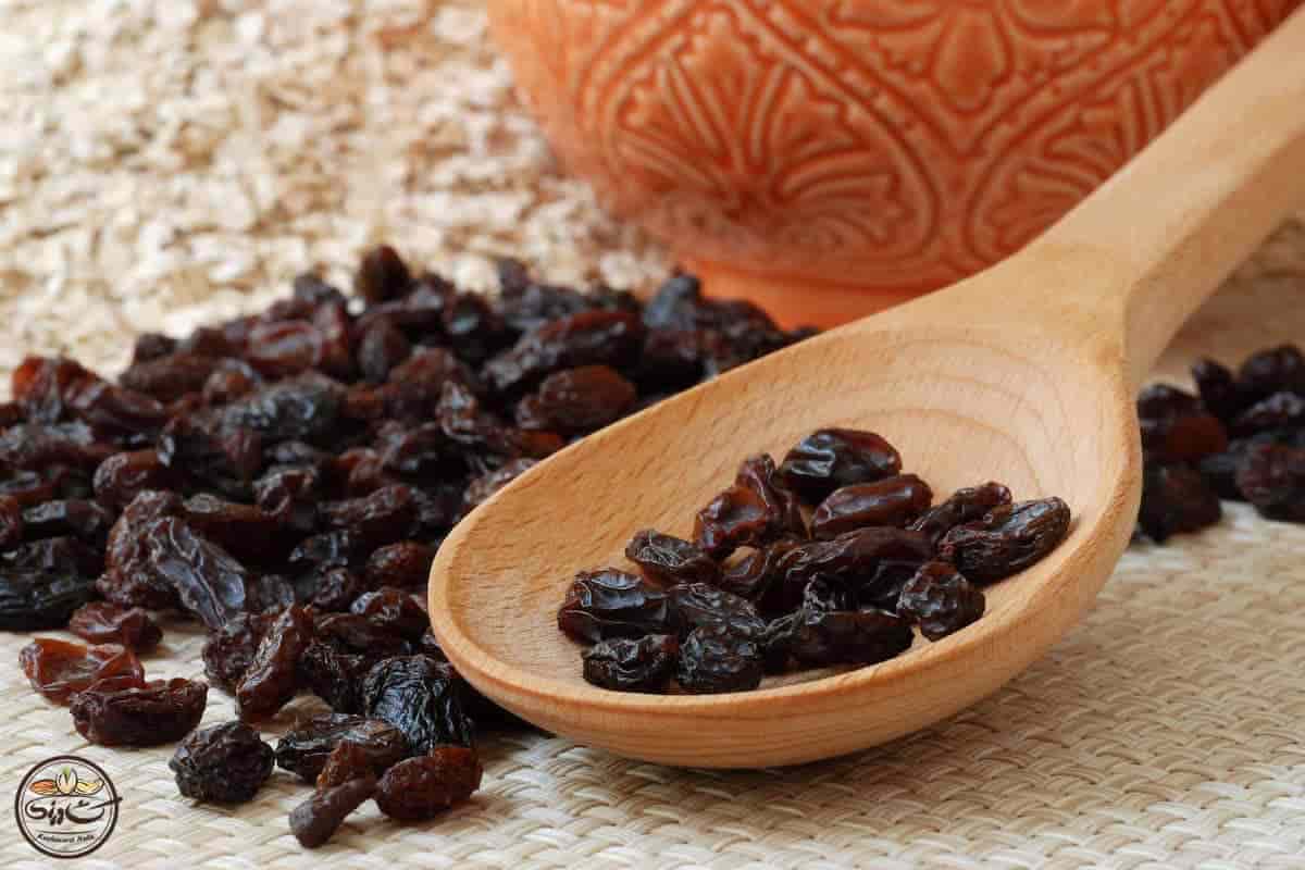 خرید و قیمت کشمش مویز + فروش عمده