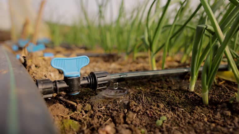 قیمت خرید شیر کنترل فشار + فروش ویژه