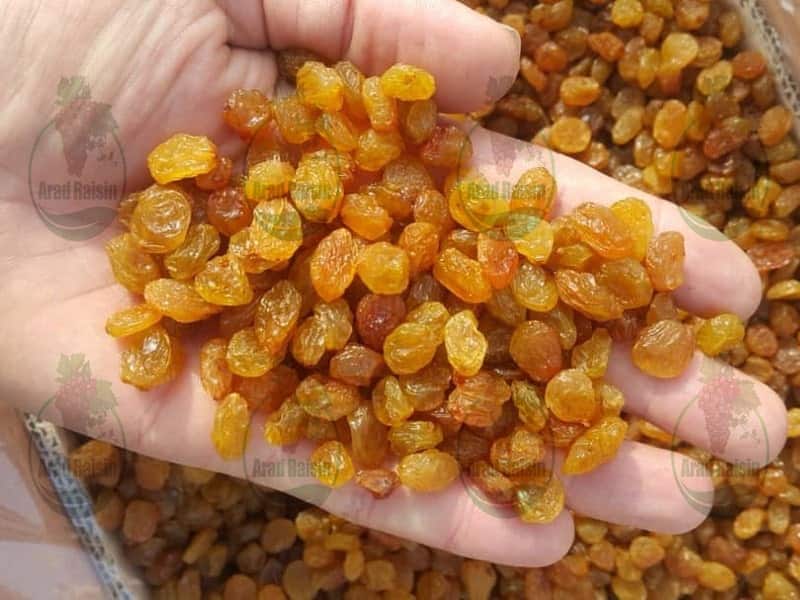 قیمت خرید کشمش تیزابی ملایر  {کشمش قهوه ای طلایی} + فروش ویژه