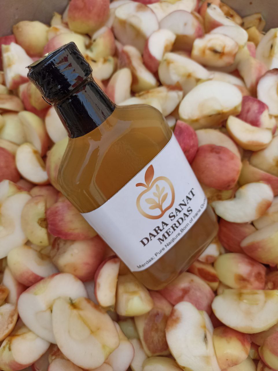 خرید سرکه سیب تازه + فروش استثنایی