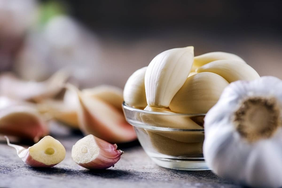 فروش سیر سفید بی بو + قیمت خرید به صرفه