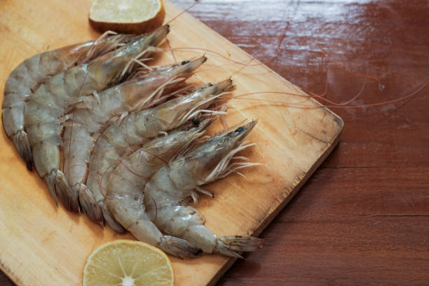 تصویر 1 از خرید و قیمت میگو تازه + فروش عمده