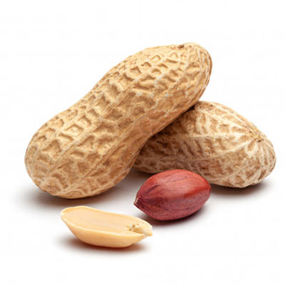 خرید و قیمت بادام زمینی مغان + فروش عمده