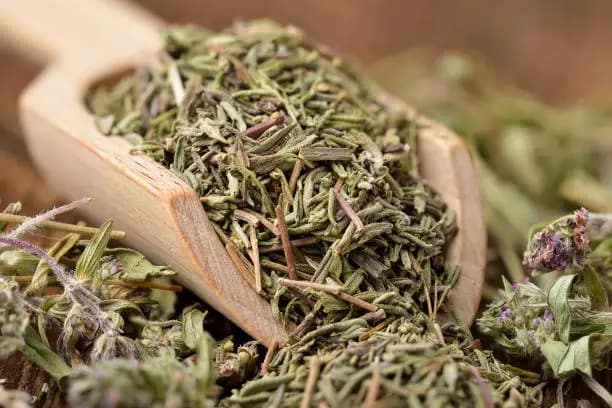 فروش آویشن کوهی + قیمت خرید به صرفه