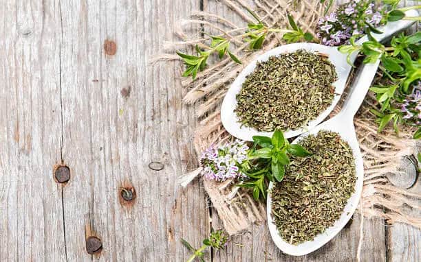 قیمت آویشن محلی با کیفیت ارزان + خرید عمده