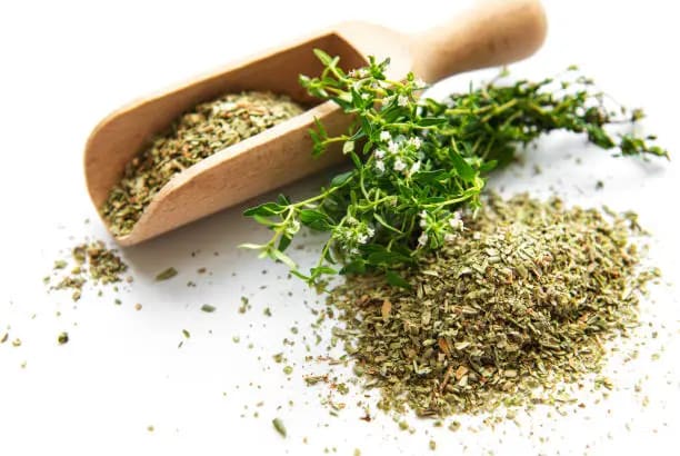 خرید و فروش آویشن لیمویی با شرایط فوق العاده