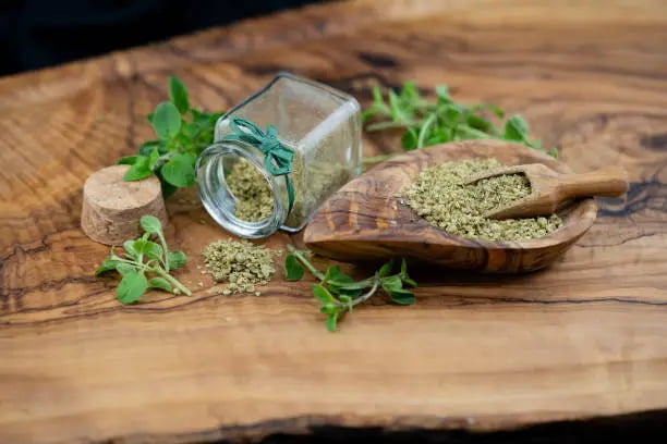 قیمت خرید آویشن شیرازی عمده به صرفه و ارزان