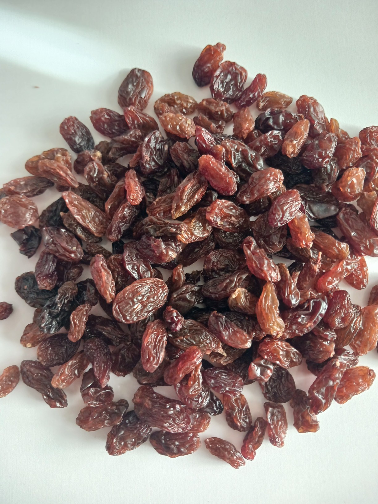 تصویر 1 از کشمش آفتابی مشکی + فروش نقدی