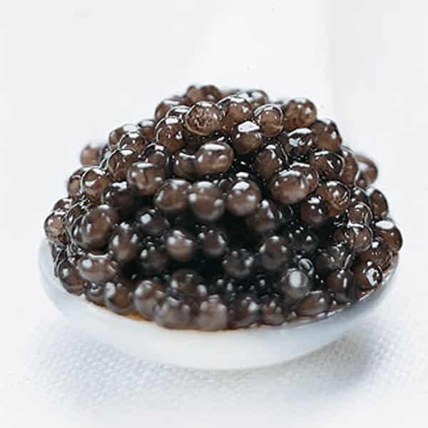 خرید و قیمت خاویار بلوگا + فروش عمده