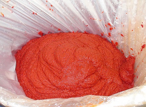 فروش رب گوجه اسپتیک بریکس 28 تا 30 + قیمت خرید به صرفه