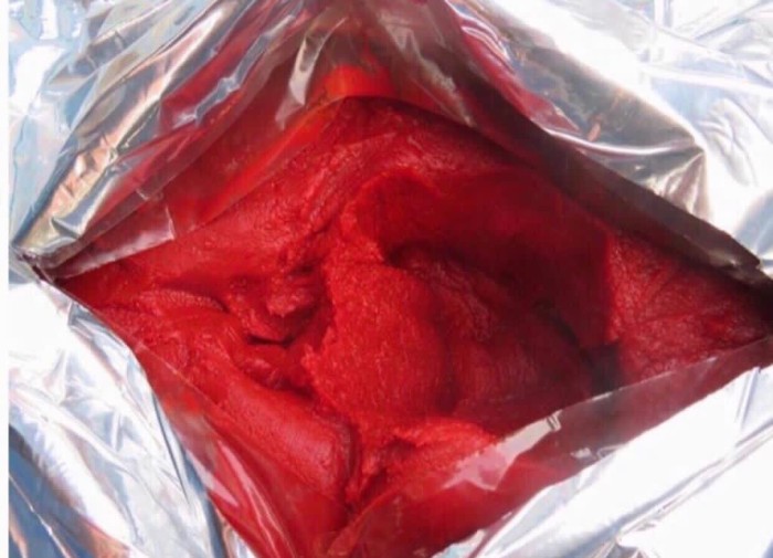 قیمت رب گوجه اسپتیک بریکس 28 + خرید باور نکردنی