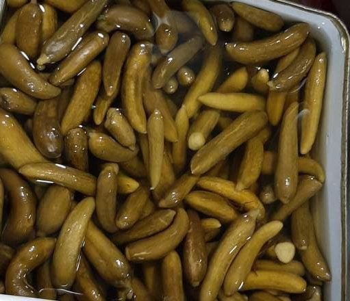 خیار شور ریز مجلس