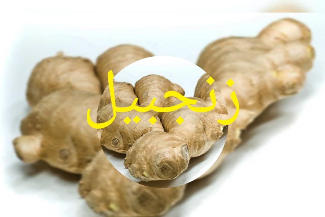 قیمت خرید زنجبیل + فروش عمده