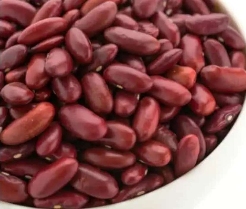 قیمت و خرید کنسرو لوبیا قرمز عمده با کیفیت + فروش ویژه