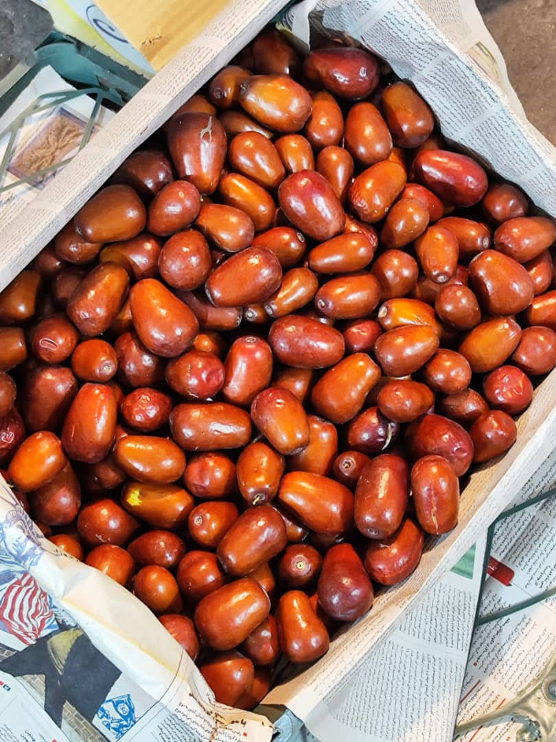 عناب صادراتی 1404 + بهترین قیمت فصل