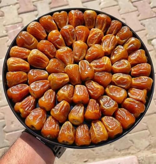 فروش ویژه خرما زاهدی ارگانیک