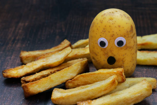 قیمت فرنچ فرایز همدان + خرید باور نکردنی