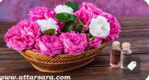 قیمت غنچه گل محمدی در بازار های بین المللی