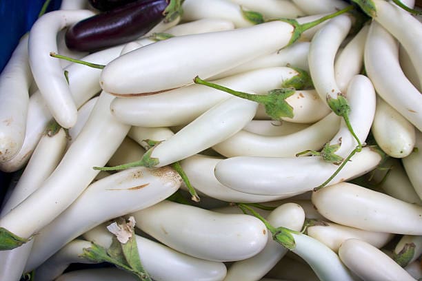 خرید و قیمت انواع بادمجان قلمی سفید