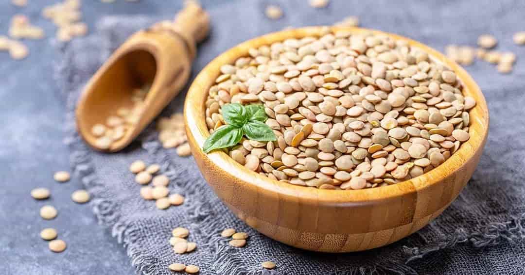 قیمت خرید عدس آشی + فروش ویژه