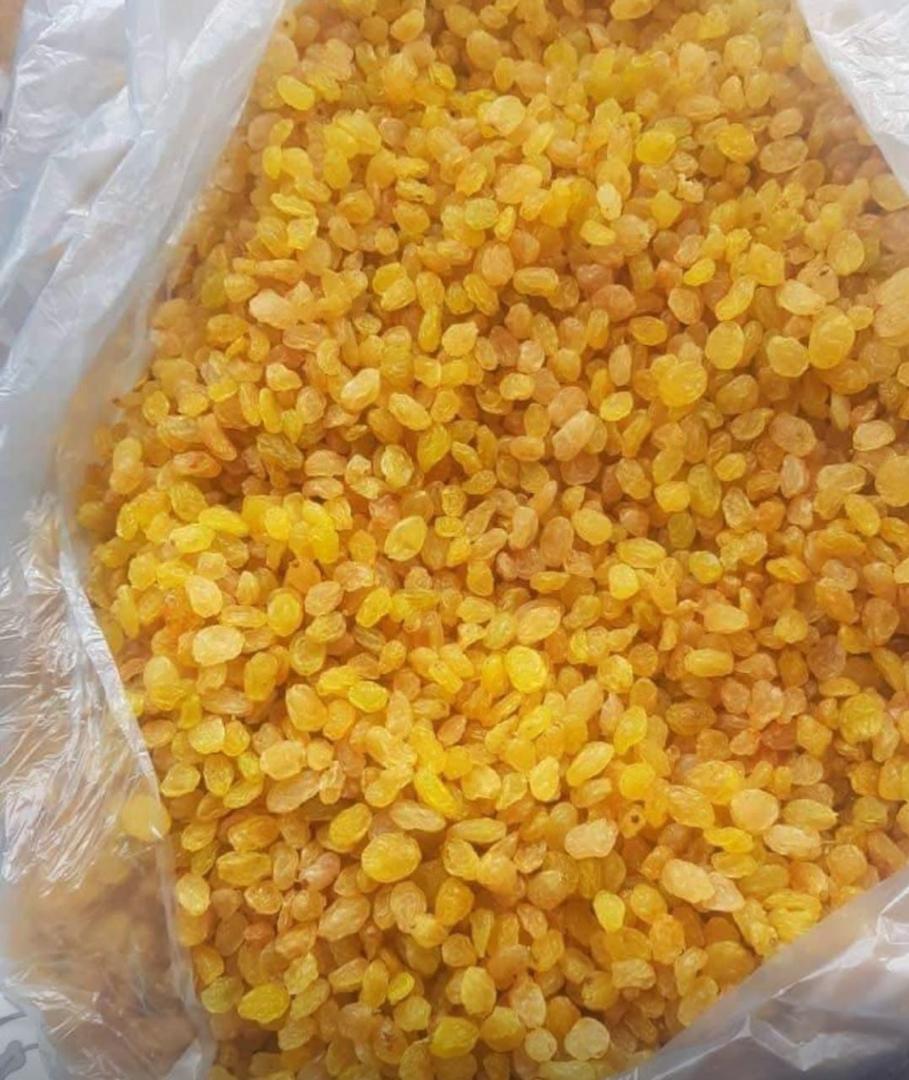 تصویر 1 از کشمش پلویی گلدن ملایر با قیمت رقابتی