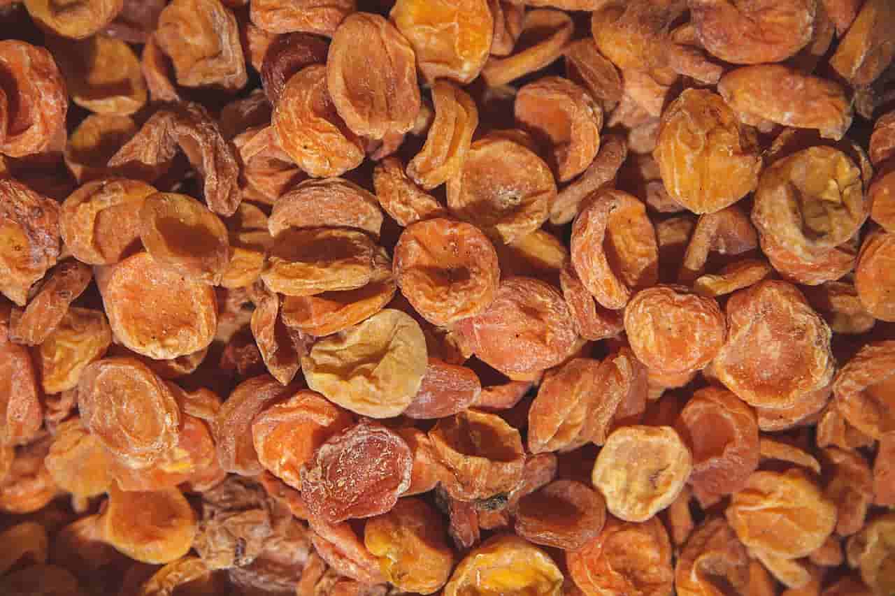 قیمت خرید زردآلوخشک خانگی + فروش ویژه