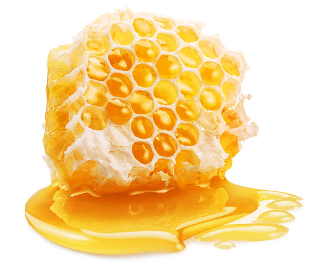 قیمت خرید عسل چهل گیاه خوانسار + فروش ویژه