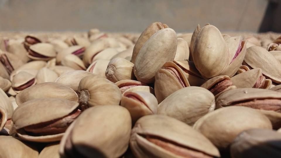 خرید پسته اکبری سرکه نمکی + قیمت فروش استثنایی