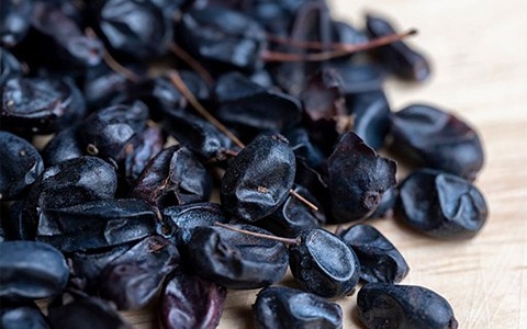 خرید و قیمت زرشک سیاه هسته دار + فروش صادراتی