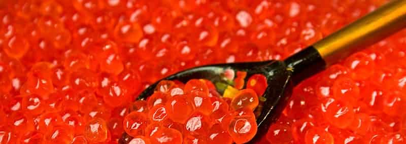 خرید و قیمت خاویار قرمز ایران + فروش صادراتی