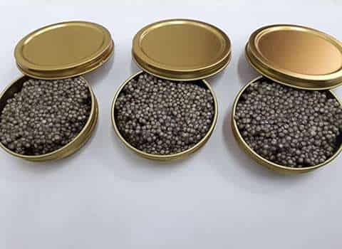قیمت خرید خاویار مازندران + فروش ویژه